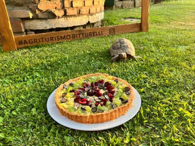Agriturismo Bitturelli Ponti sul Mincio Ngoại thất bức ảnh