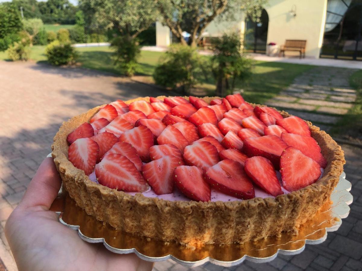 Agriturismo Bitturelli Ponti sul Mincio Ngoại thất bức ảnh